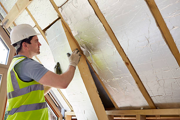 Best Commercial Insulation in Springfield, NE
